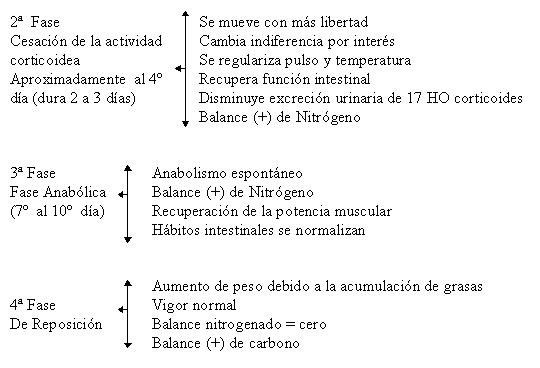 POSTOPERATORIO – Cátedra de cirugía